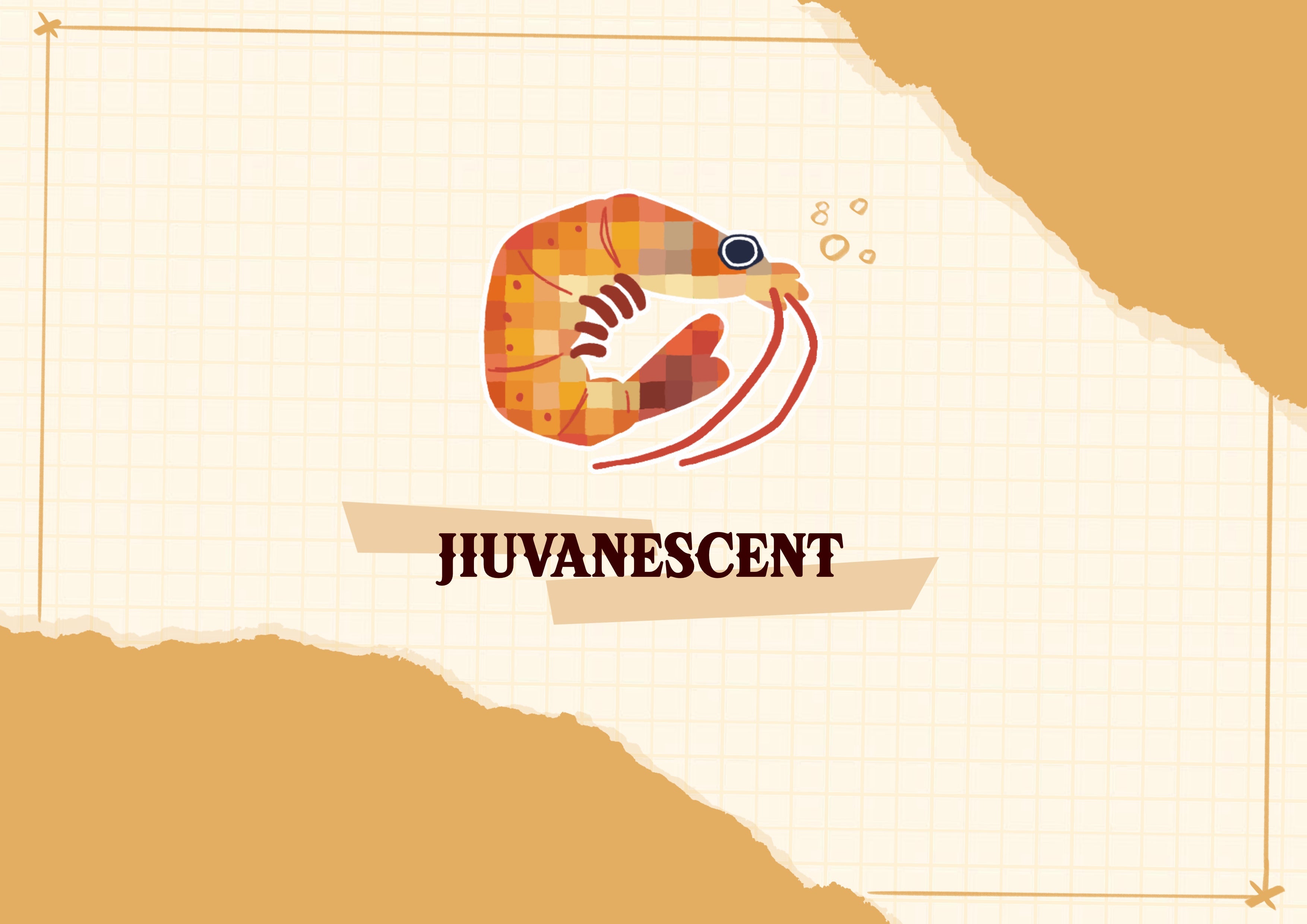Burned Out Crevettes (Jiuvanescent et Vhesiho)