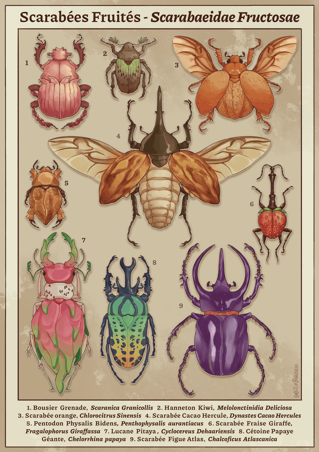 SketchBaroness