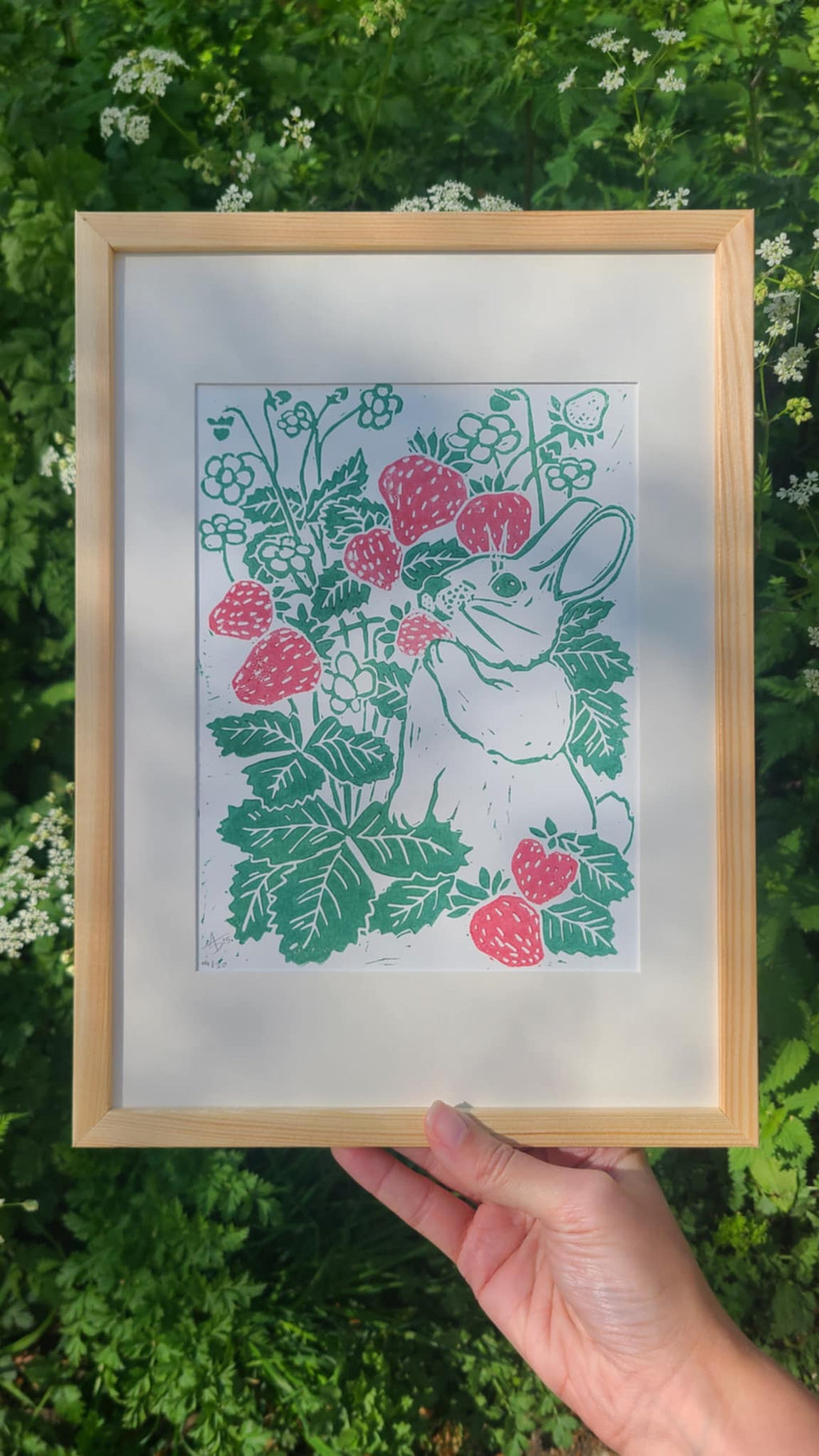 Aurore Illustration
