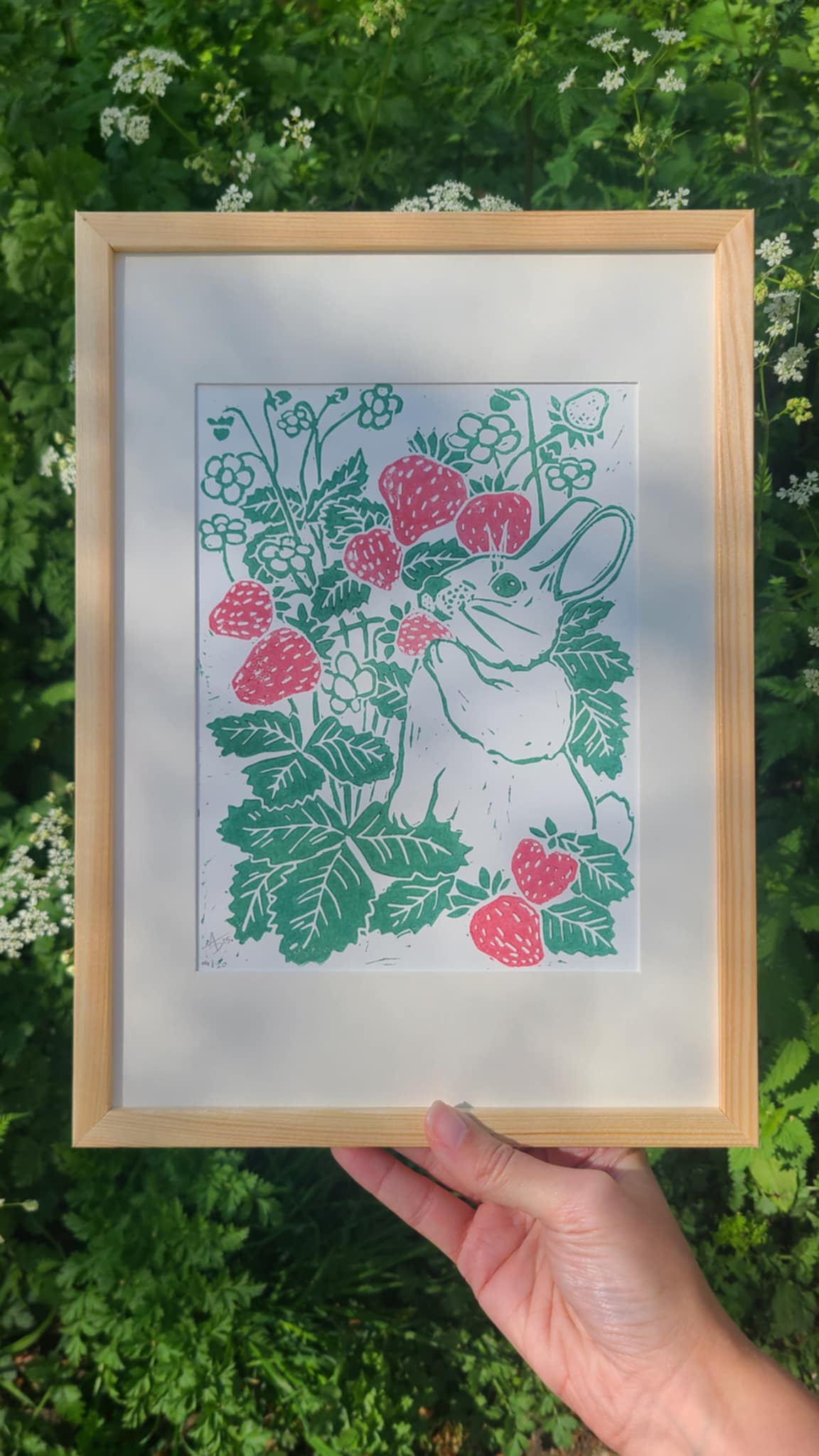 Aurore Illustration